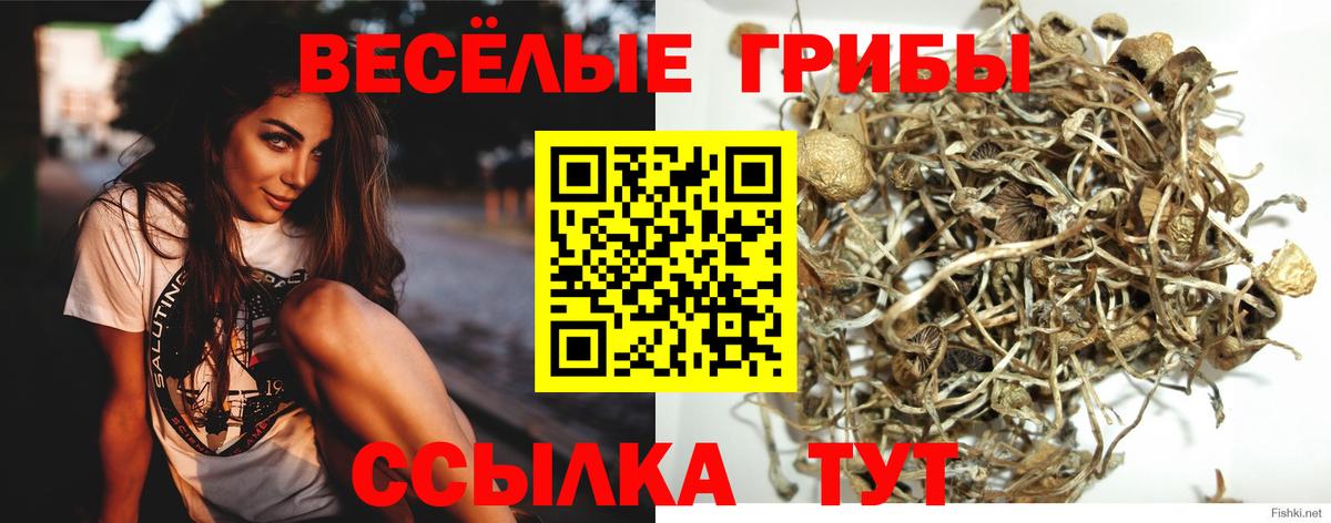 Галлюциногенные грибы ЛСД Канаш