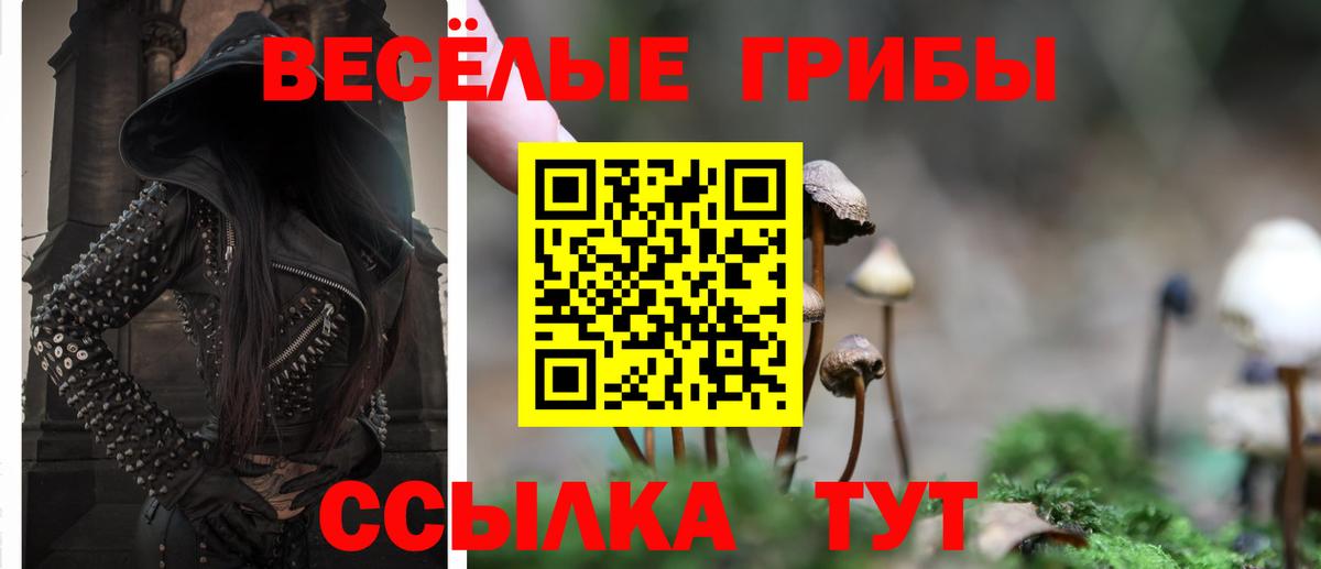 купить закладку  Вход с VPN  Канаш  Псилоцибиновые грибы Psilocybe 